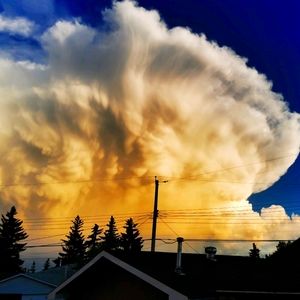 Meet your Posher, Erin jane